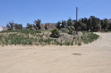 Enlarge photo 27
