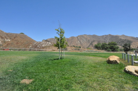 Enlarge photo 32