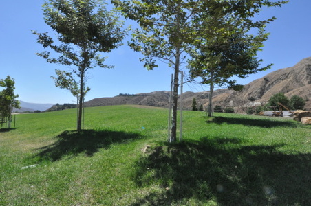 Enlarge photo 39