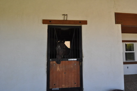 Enlarge photo 52