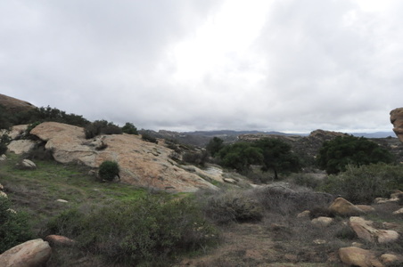 Enlarge photo 21