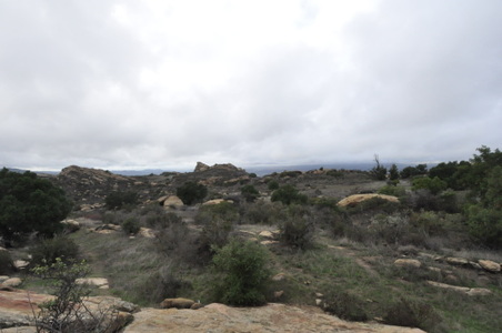 Enlarge photo 22