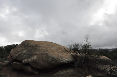 Enlarge photo 23