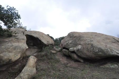 Enlarge photo 24
