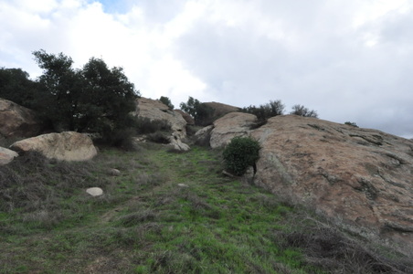 Enlarge photo 25
