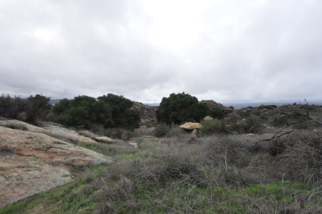 Enlarge photo 26