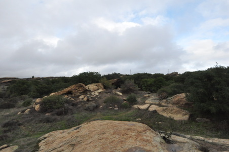 Enlarge photo 27