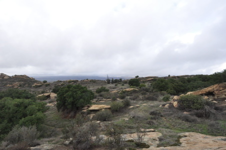 Enlarge photo 28