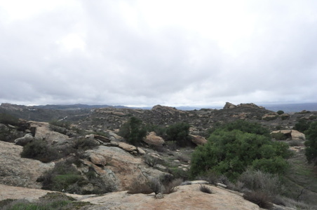 Enlarge photo 29