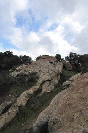 Enlarge photo 30