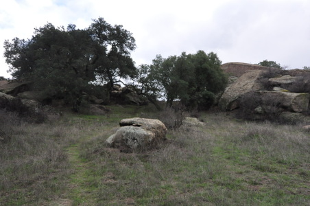 Enlarge photo 31