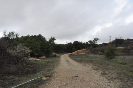 Enlarge photo 32