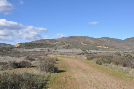 Enlarge photo 13