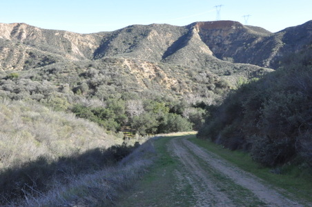Enlarge photo 16
