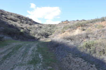 Enlarge photo 17