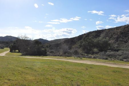 Enlarge photo 31