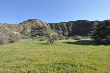 Enlarge photo 32