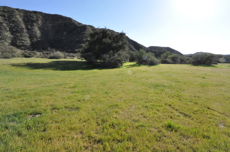 Enlarge photo 33