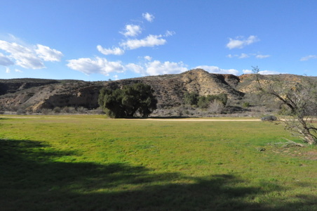 Enlarge photo 35