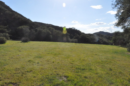 Enlarge photo 36