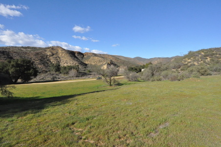 Enlarge photo 37