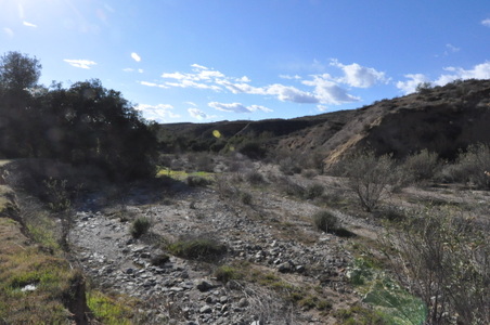 Enlarge photo 38