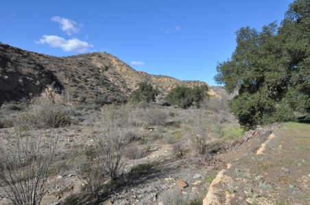 Enlarge photo 39