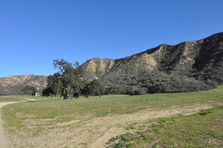 Enlarge photo 41
