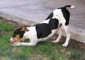 Enlarge photo 15