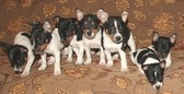 Enlarge photo 35