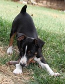 Enlarge photo 16