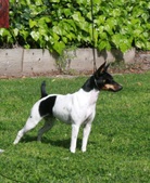 Enlarge photo 42