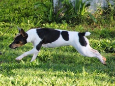 Enlarge photo 7