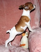 Enlarge photo 13