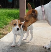 Enlarge photo 7