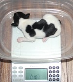 Enlarge photo 9
