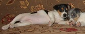 Enlarge photo 33