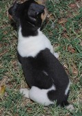 Enlarge photo 19