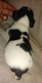Enlarge photo 2