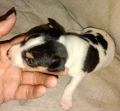 Enlarge photo 4