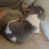Enlarge photo 7