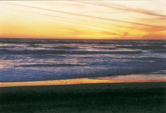 Enlarge photo 42
