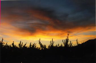 Enlarge photo 37