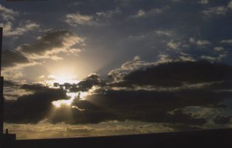Enlarge photo 35