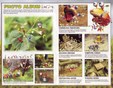 Enlarge photo 13