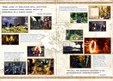 Enlarge photo 272