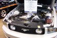 Enlarge photo 19