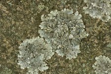 Enlarge photo 39