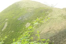 Enlarge photo 50