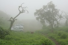 Enlarge photo 14